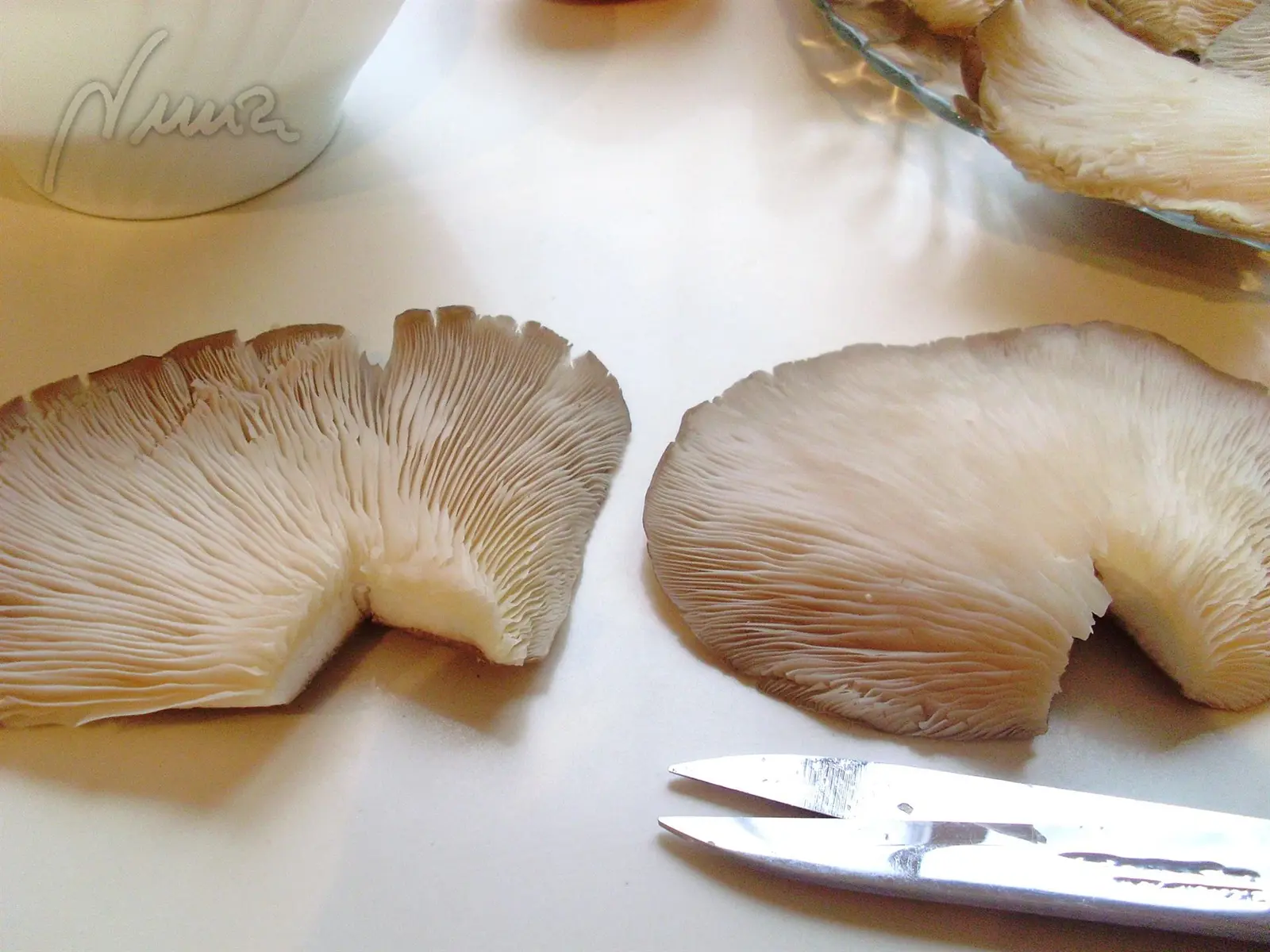 Ternera guisada con setas: ingredientes