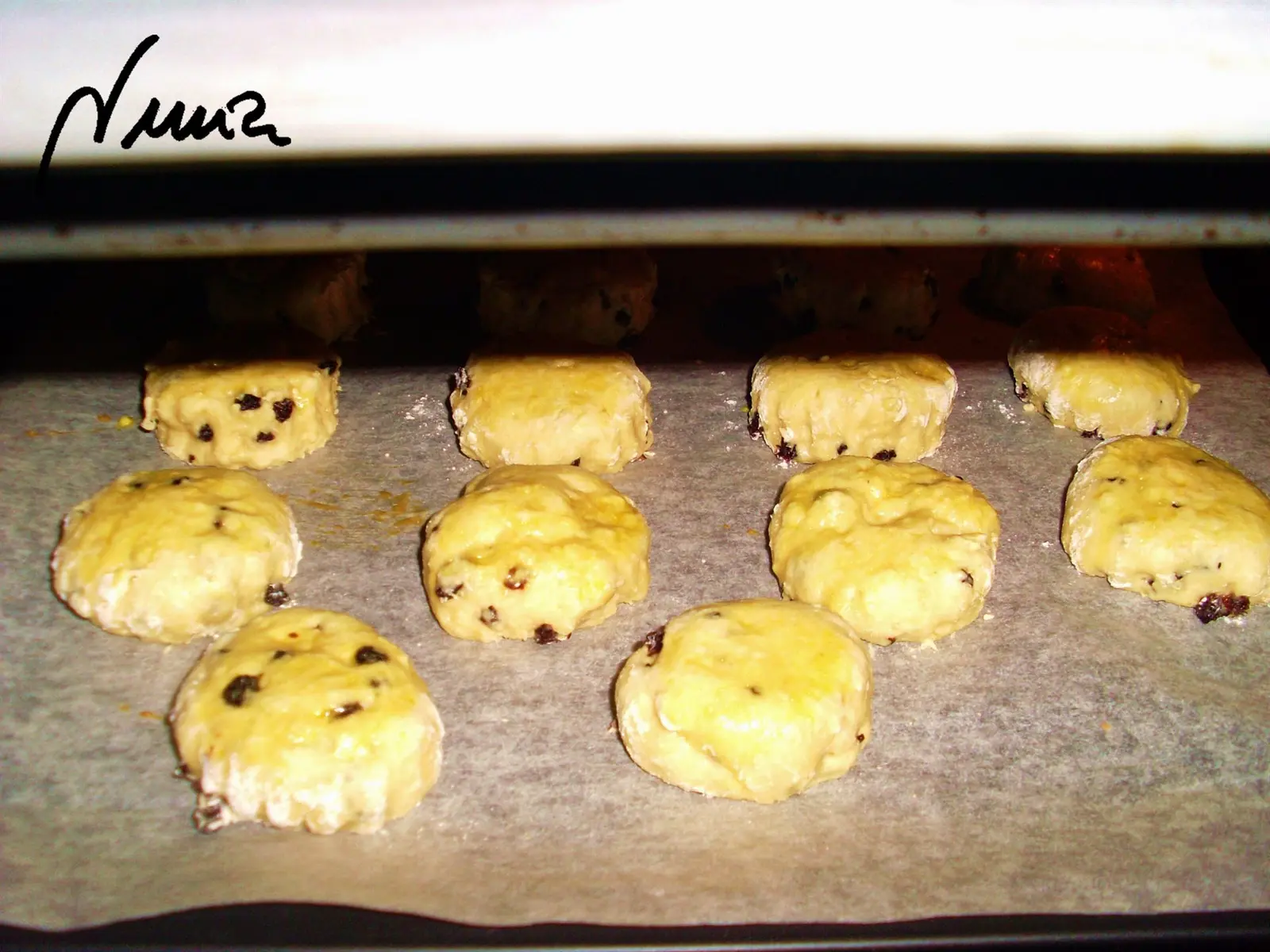 Scouns - bollitos irlandeses, paso 11: Meter en el horno en el nivel medio-alto, durante 15 minutos, hasta que estén doraditos.