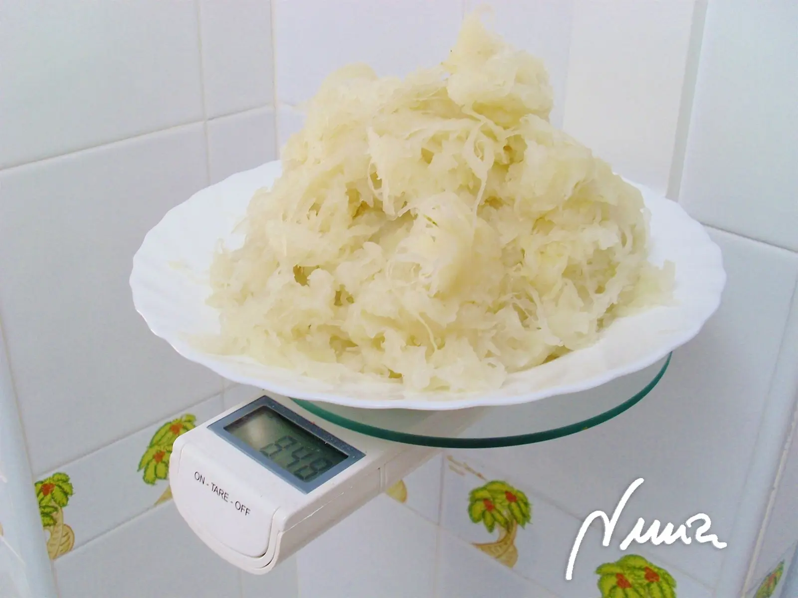 Cabello de ángel, dos formas de prepararlo, paso a paso, paso 12: Pesar la pulpa, en este caso pesó 848 gramos:
