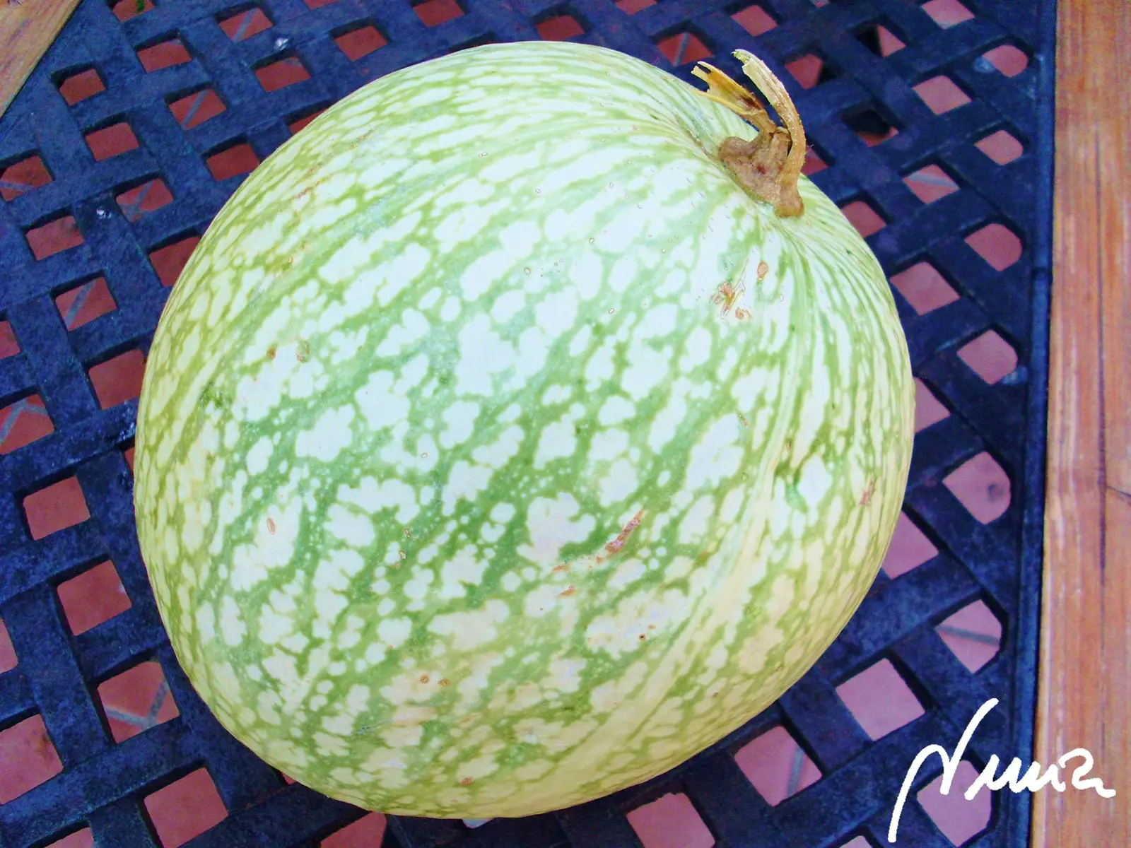 Cabello de ángel, dos formas de prepararlo, paso a paso: ingredientes