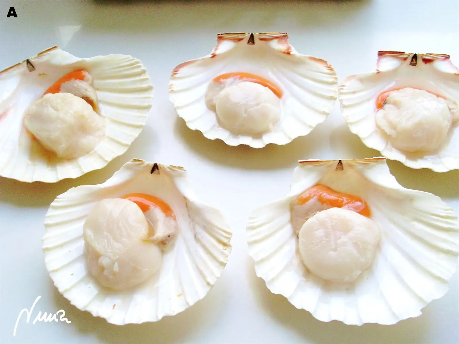 Vieiras exquisitas: ingredientes