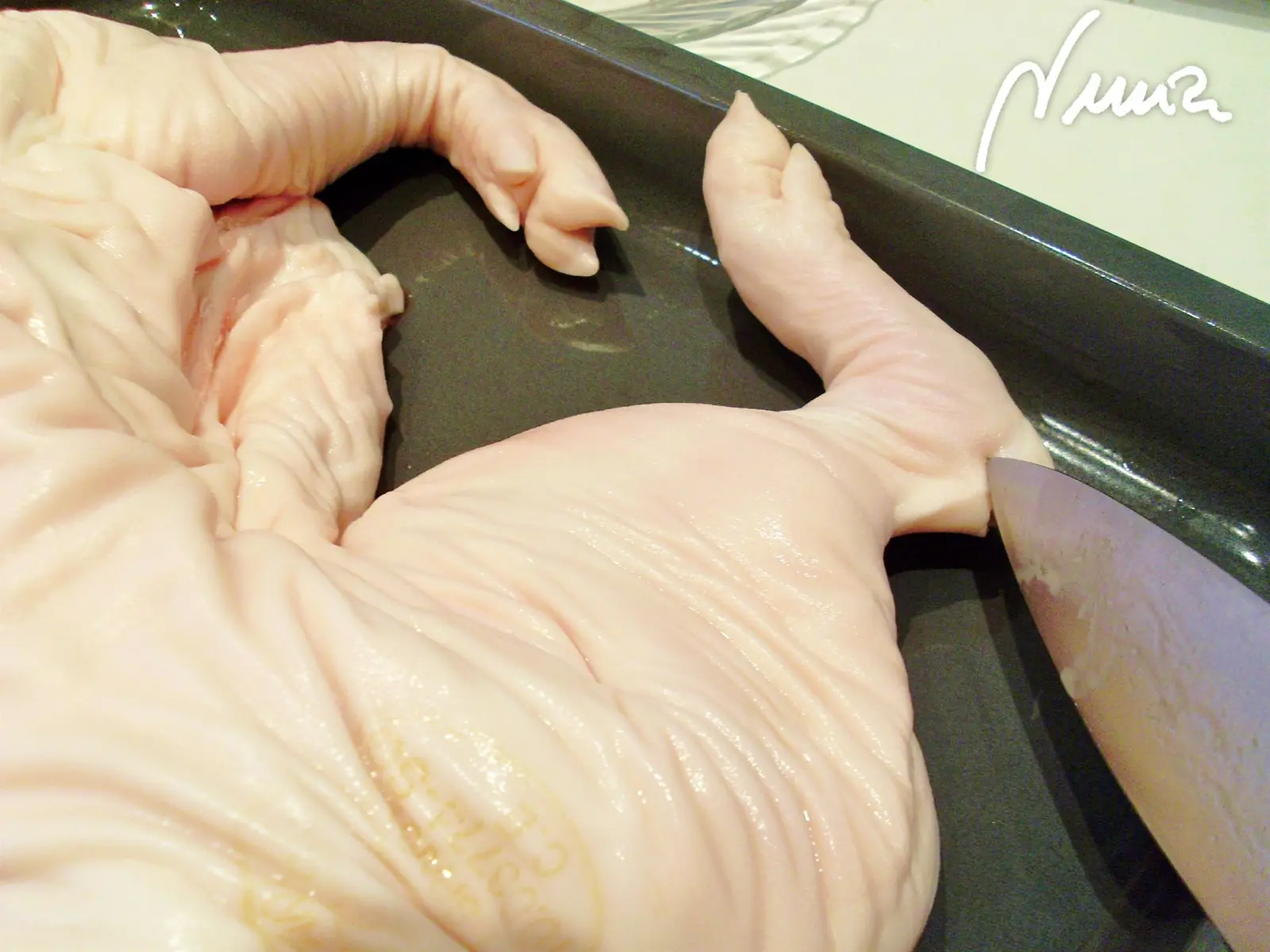 Cochinillo al horno, paso 7: Con unas tijeras o un cuchillo bien afilado hacer un corte en las articulaciones de las…