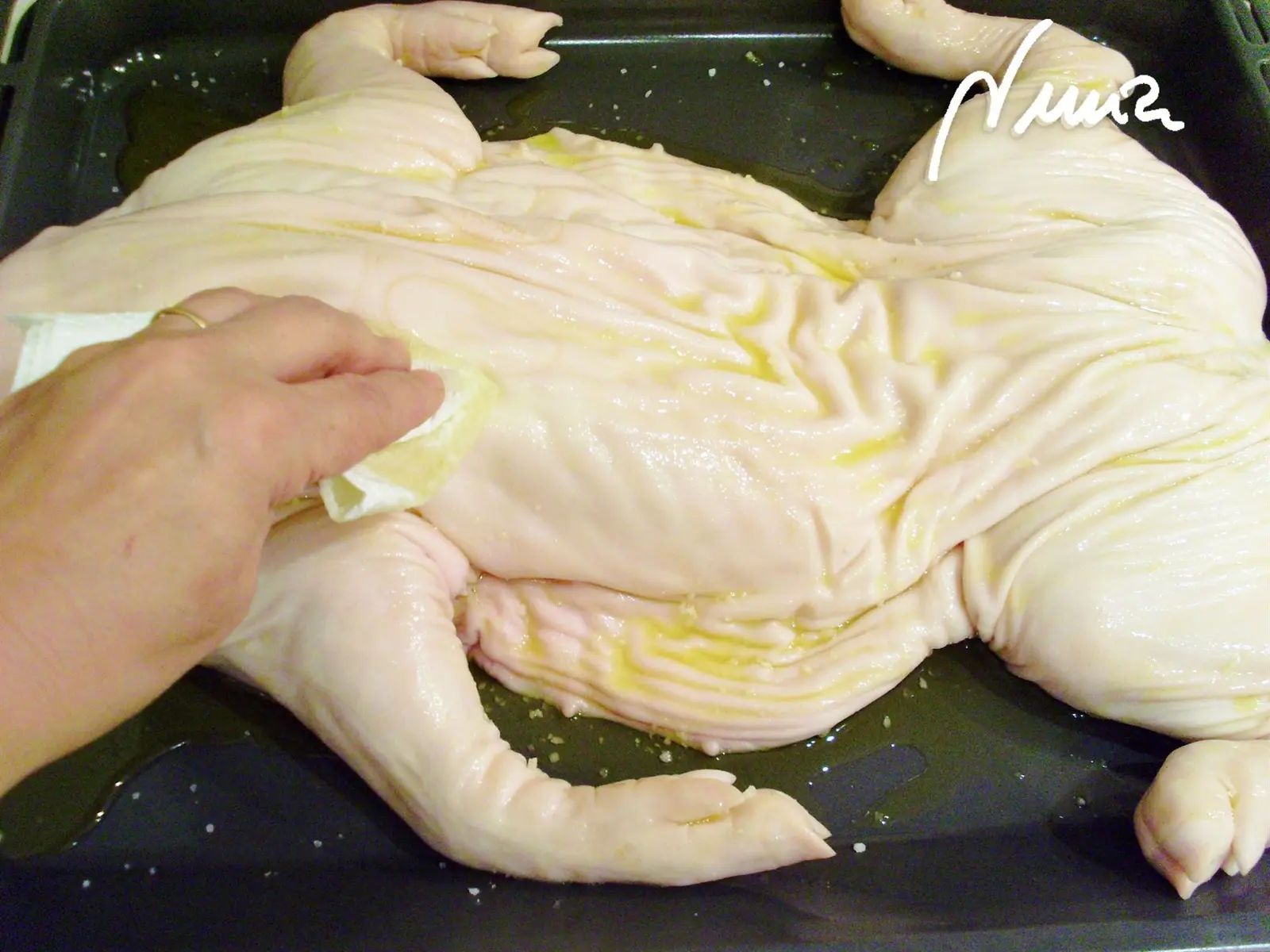 Cochinillo al horno, paso 8: Embadurnar toda la superficie de la piel con el aceite de oliva, restregando con papel…