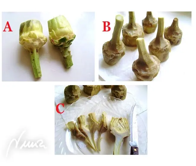 Alcachofas fritas, paso 8: Cortar con cuidado cada alcachofa, transversalmente, en cuatro trozos. -C-