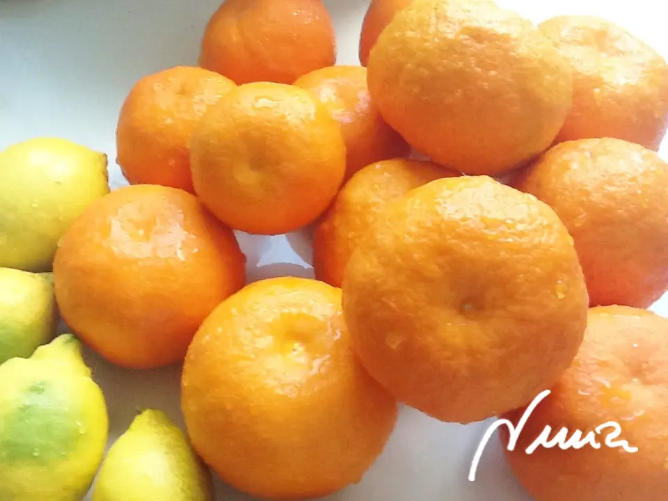 Mermelada de naranja amarga de Sevilla (Jalea), paso 1: Lavar perfectamente las naranjas y limones, incluso frotando bien con un cepillo que…
