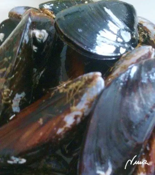 Mejillones al vapor, paso 1: Limpiar los mejillones en agua fría, retirando todas las barbas.
