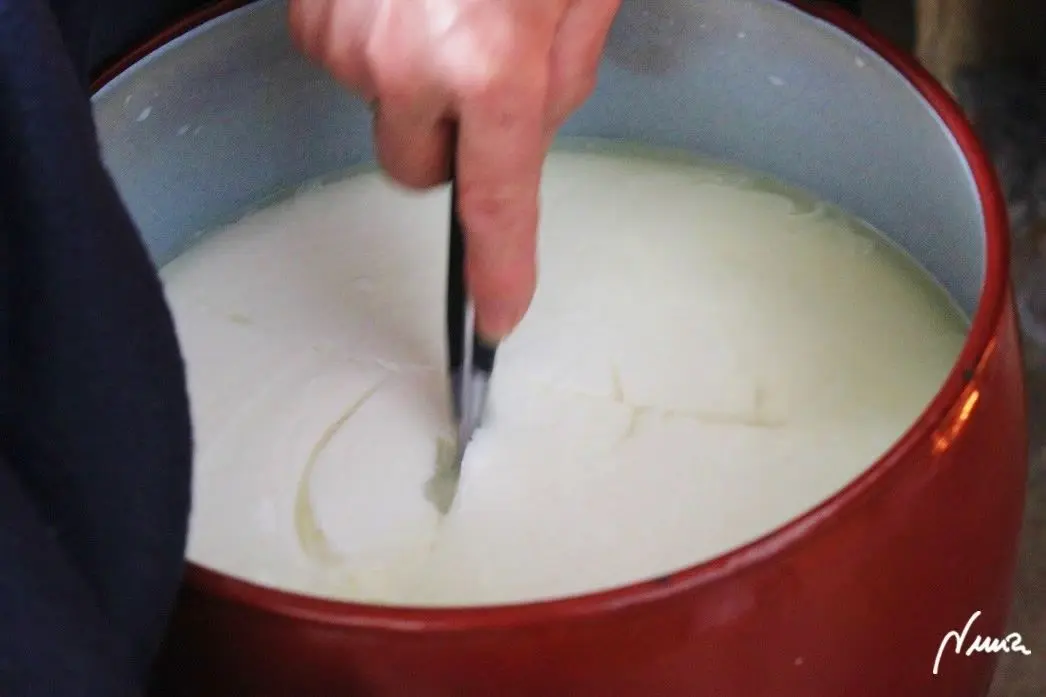 Queso fresco de vaca, casero, proceso paso a paso, paso 8: Transcurrida 1 hora aproximadamente, destapar el caldero y mirar si ha cuajado un poco…