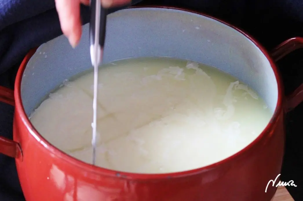 Queso fresco de vaca, casero, proceso paso a paso, paso 9: Esperar unos minutos más, todo tapado y volver a comprobar que la marca de corte del…