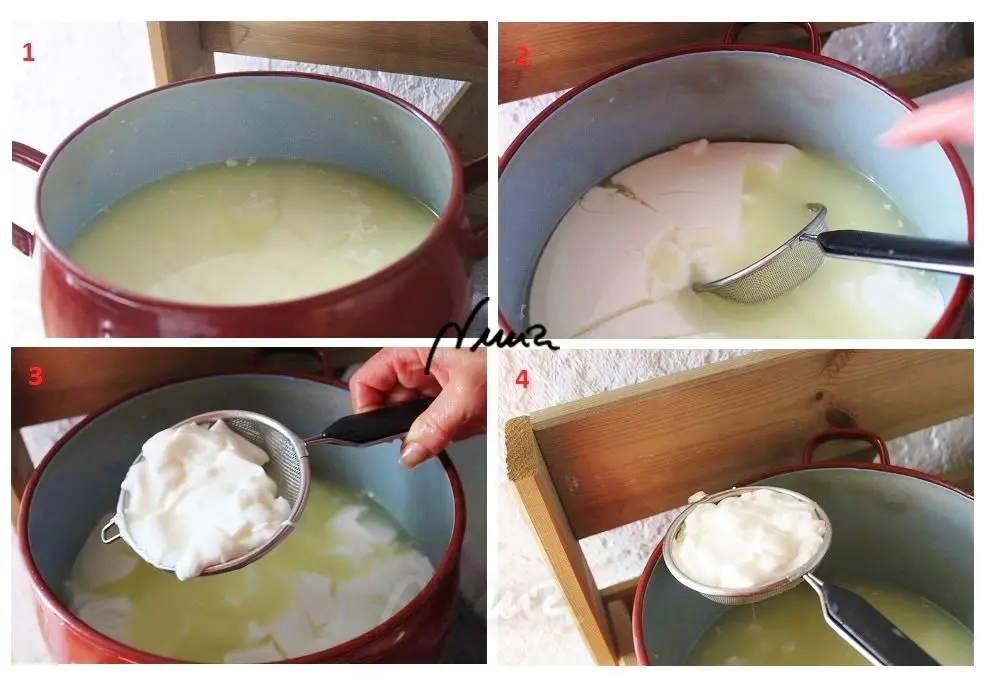 Queso fresco de vaca, casero, proceso paso a paso, paso 16: Escurrir un poco (4)