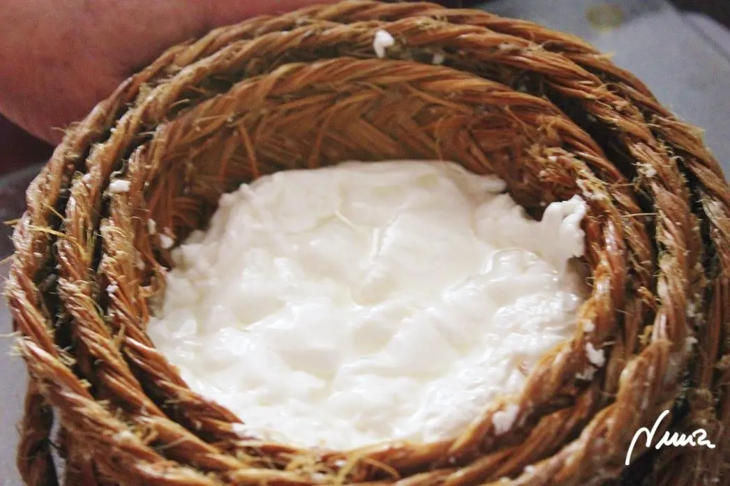 Queso fresco de vaca, casero, proceso paso a paso, paso 17: Verter la cuajada sobre el hueco del cincho:
