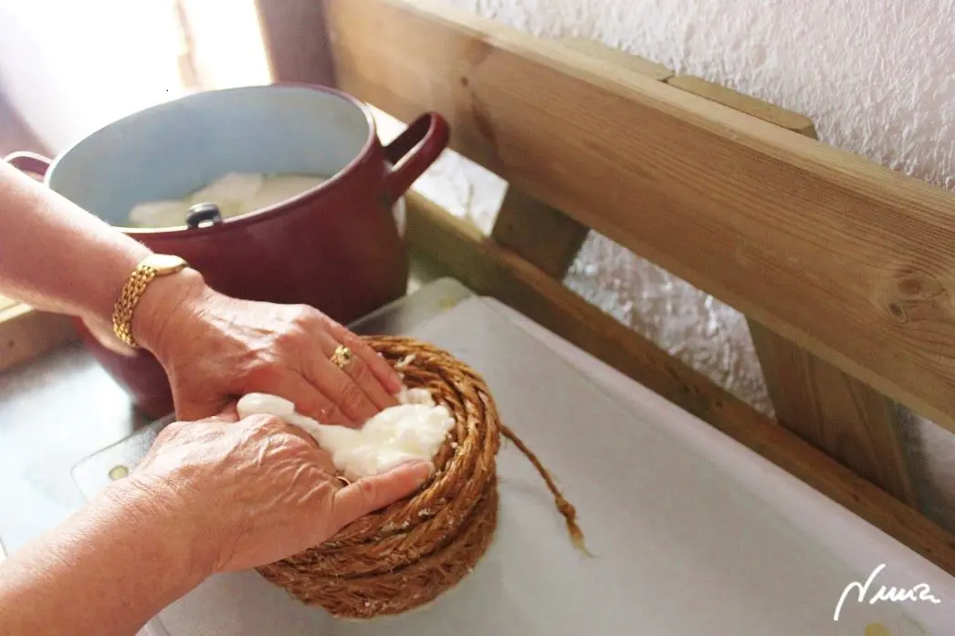 Queso fresco de vaca, casero, proceso paso a paso, paso 19: Luego presionar con los nudillos y dedos para que siga escurriendo el suero por el…