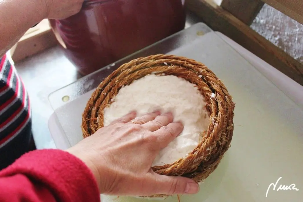 Queso fresco de vaca, casero, proceso paso a paso, paso 21: Volver a echar más leche cuajada: