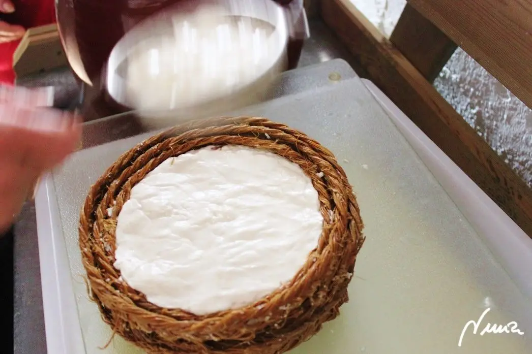 Queso fresco de vaca, casero, proceso paso a paso, paso 22: Volver a echar cuajada: