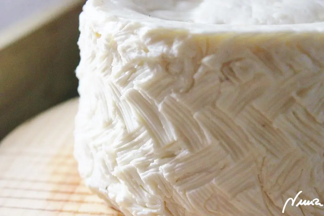 Queso fresco de vaca, casero, proceso paso a paso, paso 30: Si el queso ya queda consistente, durito, desatar y retirar el cincho.