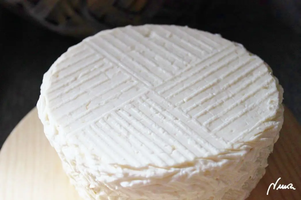 Queso fresco de vaca, casero, proceso paso a paso, paso 31: Así ha quedado la base, marcada con la tabla acanalada: