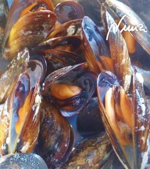 Mejillones al vapor, paso 7: En pocos minutos se abrirán las conchas de los mejillones y enseguida hay que retirarlo…