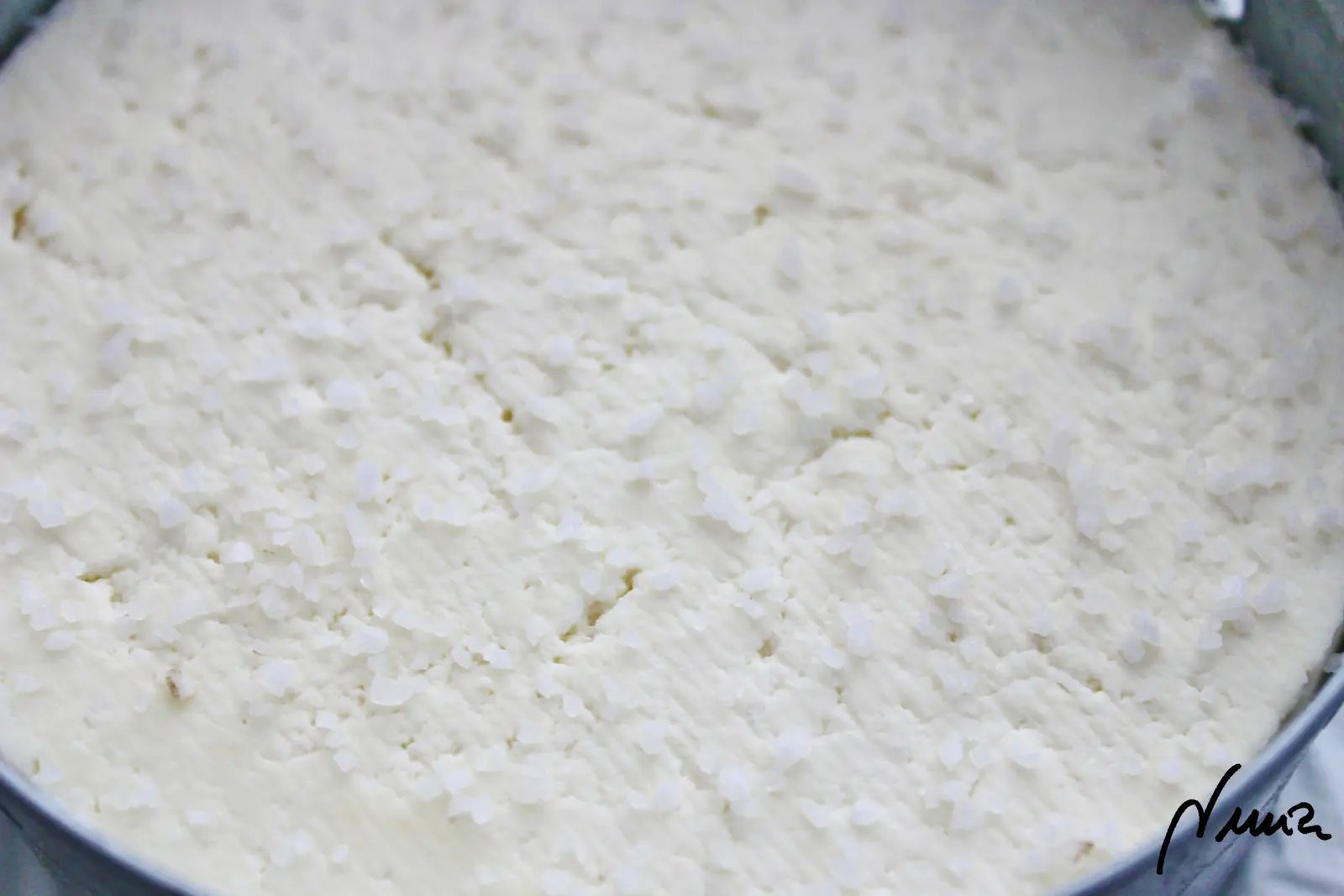 Queso semicurado de cabra, proceso paso a paso, paso 18: Salar las superficies de las dos caras del queso con sal gorda: