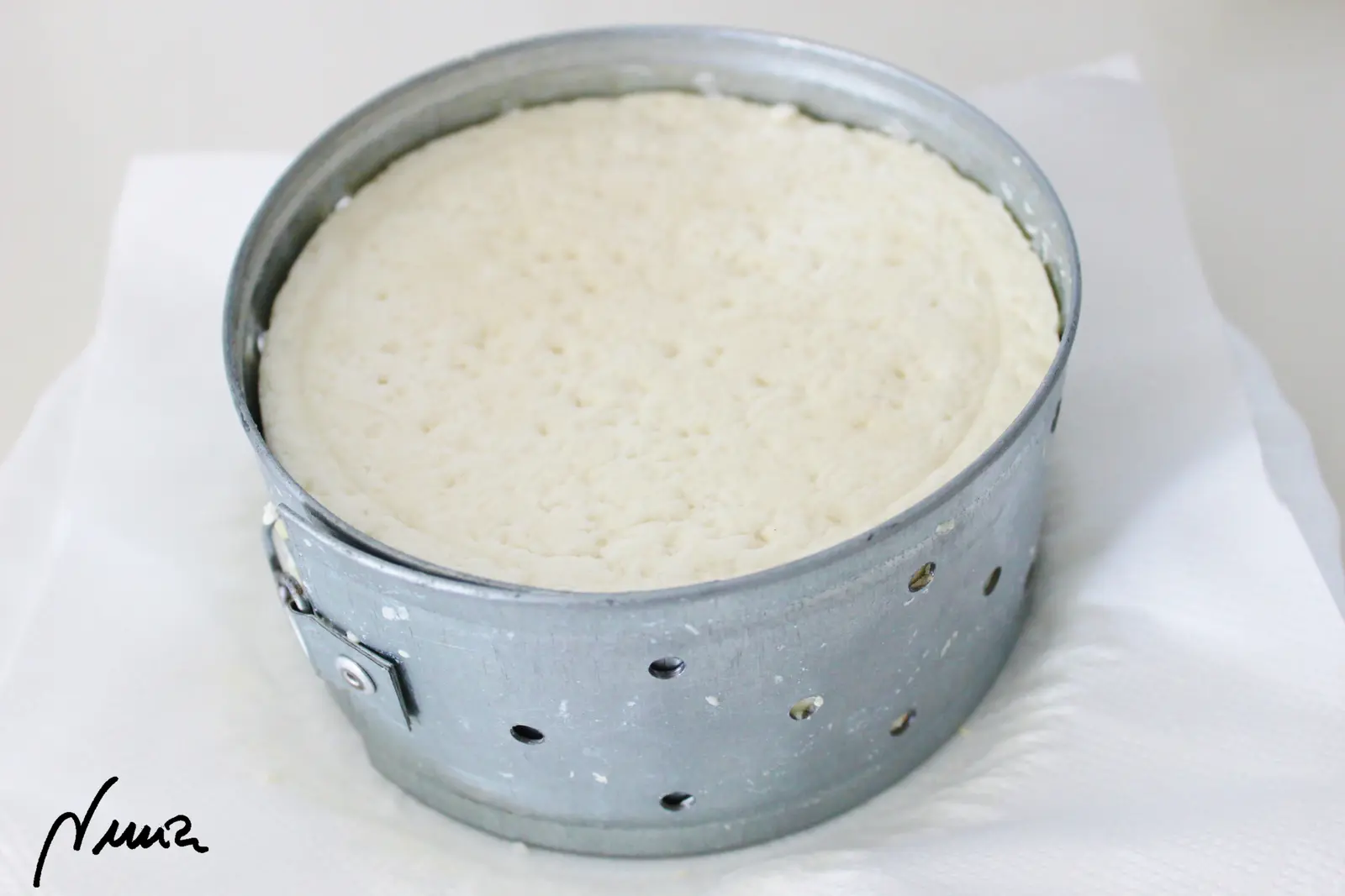 Queso semicurado de cabra, proceso paso a paso, paso 19: Durante los 2 primeros días reposar el queso, SIN RETIRAR el cincho (para que no se…
