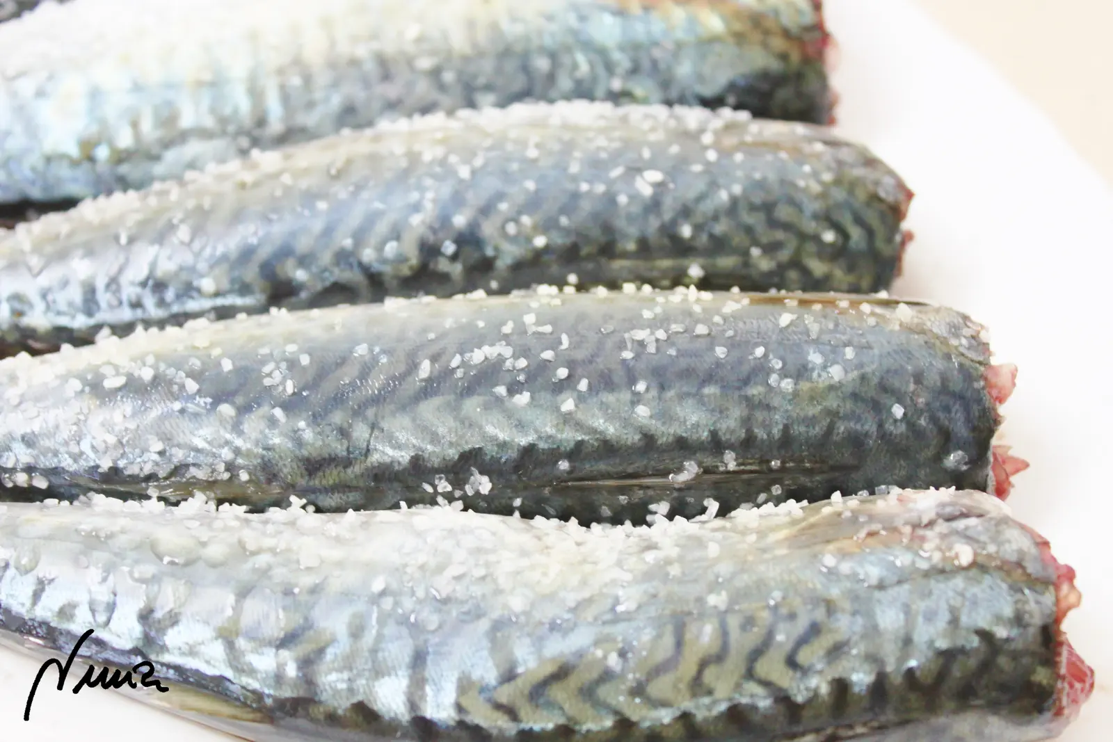 Caballa aliñada, paso 2: Salar todo el pescado en contorno, sobre la piel y dejarlo así, sobre la mesa, hasta la…