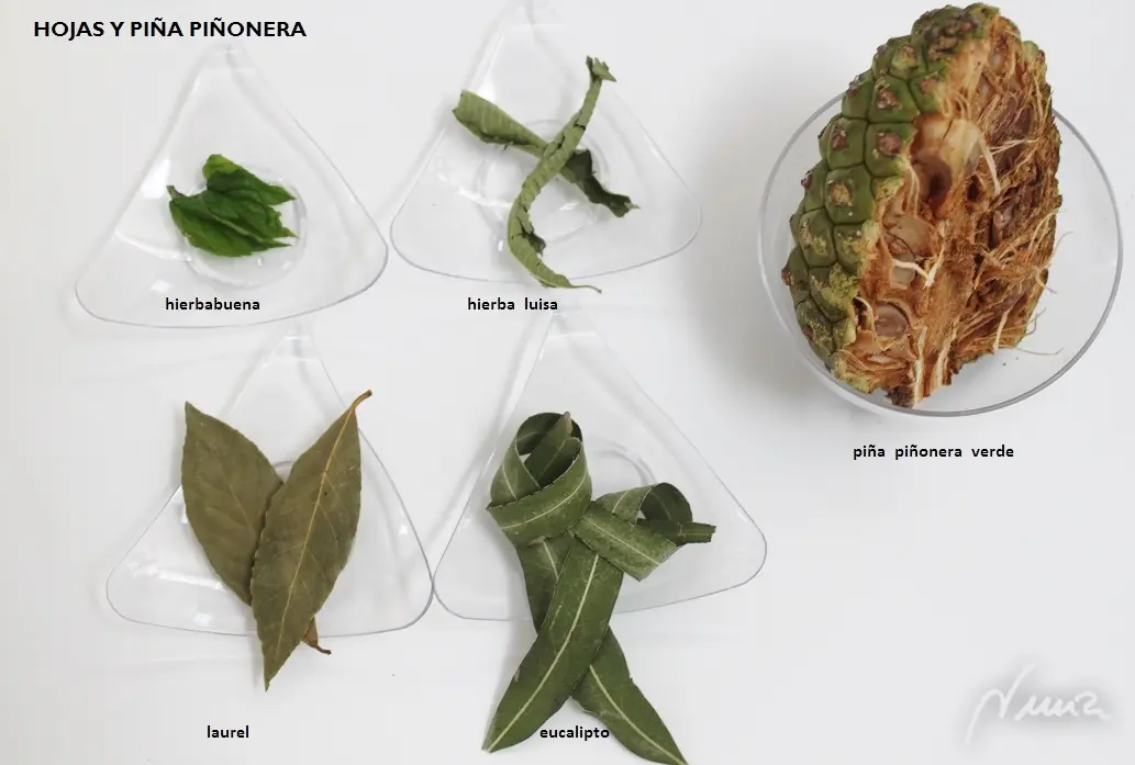 Ratafía de nueces — foto 5