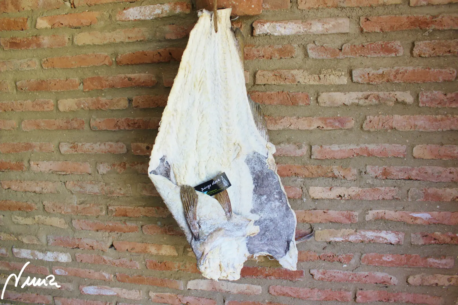 Bacalao con tomate — foto 1