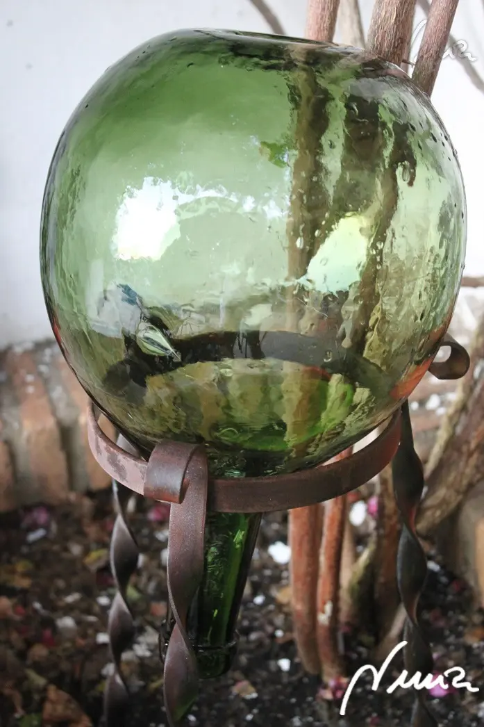 Ratafía de nueces, paso 1: * Utilizar una garrafa grande de cristal (las de cuello estrecho), limpia y seca por…