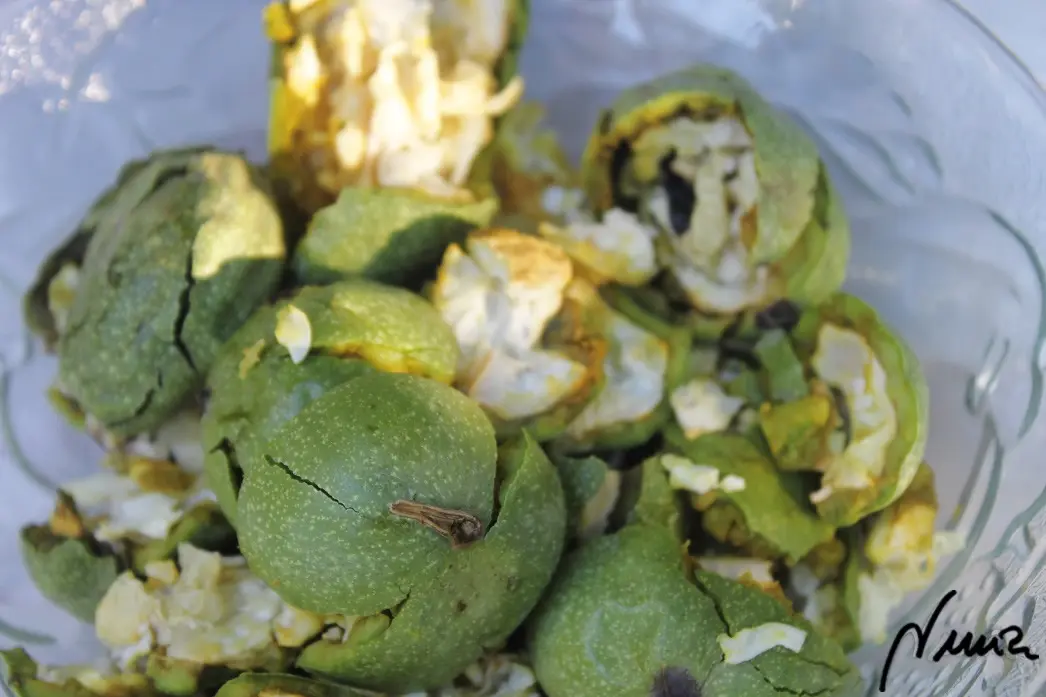 Ratafía de nueces, paso 3: * Hay que machacar o aplastar la piña y las nueces: