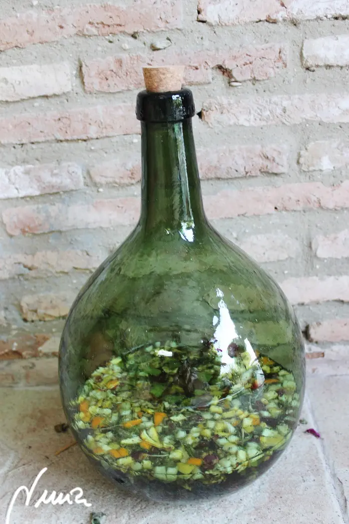 Ratafía de nueces, paso 3: 3. Echar el anís dulce sobre todo lo anterior: