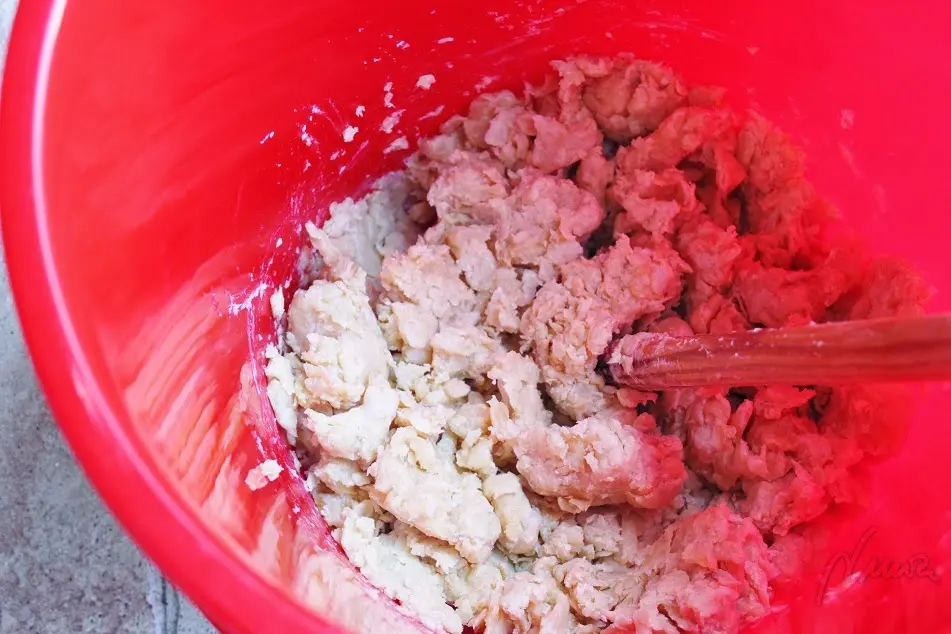 Cómo hacer detergente en gel para lavadora, proceso paso a paso, paso 19: 2 º día-