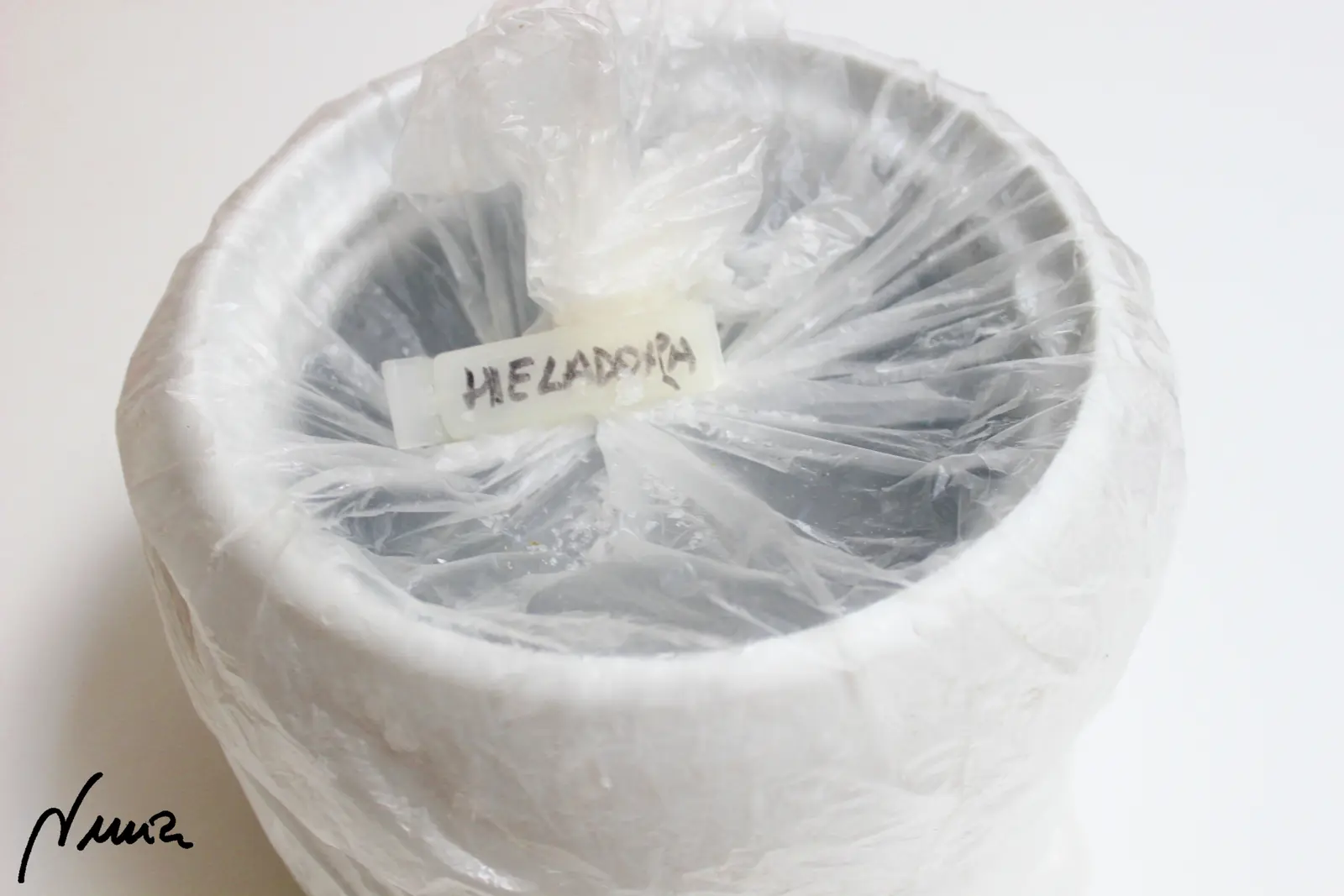 Helado de vainilla, elaboración: El día anterior: meter la cubeta de la heladora en una bolsa de plástico y cerrar con…