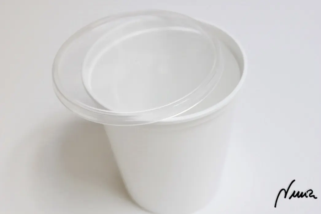 Helado de vainilla, paso 12: Verter la crema en una terrina o vaso de plástico con tapadera.