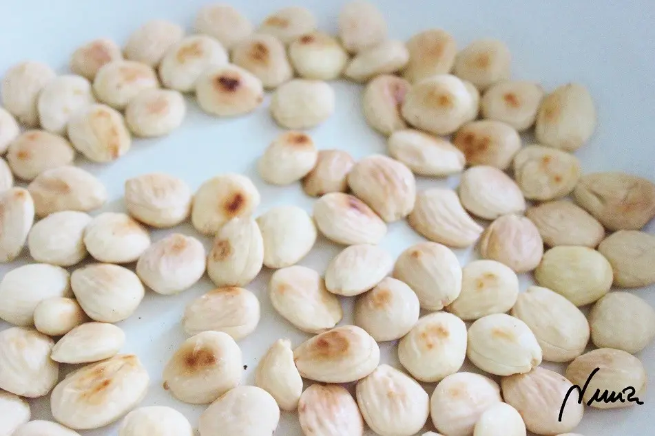 Polvorones del Espíritu Santo (de almendra), paso 7: 7 - Las almendras deben enfriar por completo.