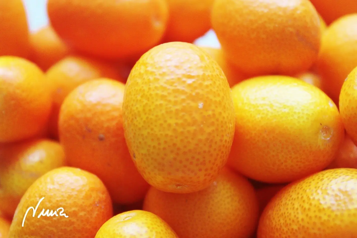 Kumquats confitados: ingredientes