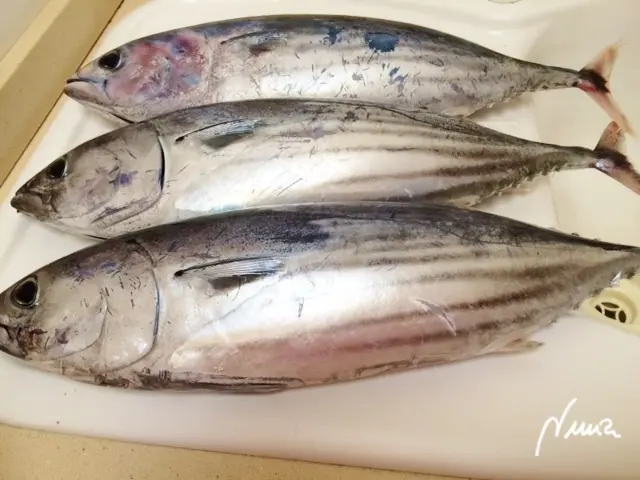 Marmitako o guiso marinero: ingredientes