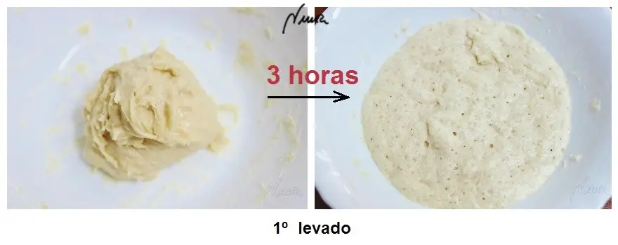 Coca de San Juan, paso 6: Reposar 3 horas esta masa madre, hasta que duplique su volumen.