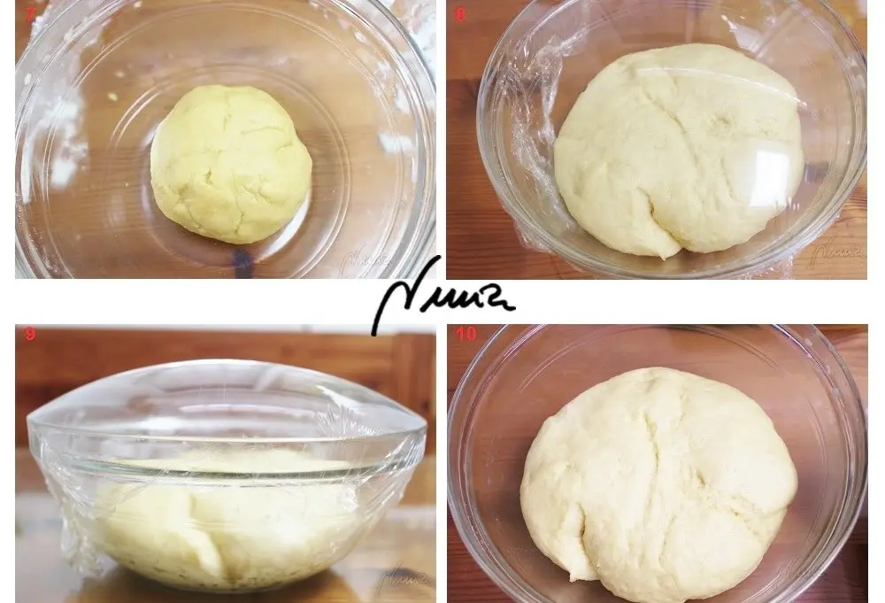 Galletas de agua o crackers, paso 15: Reposar la masa durante 2 horas, hasta duplicar su tamaño inicial -8-.