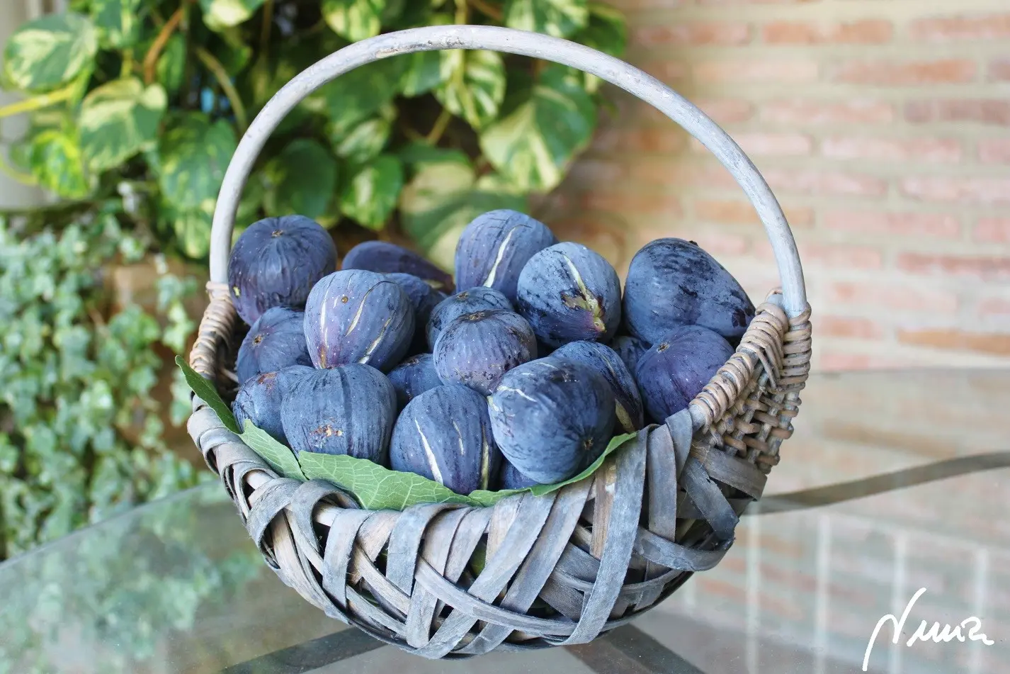 Mermelada de brevas: ingredientes