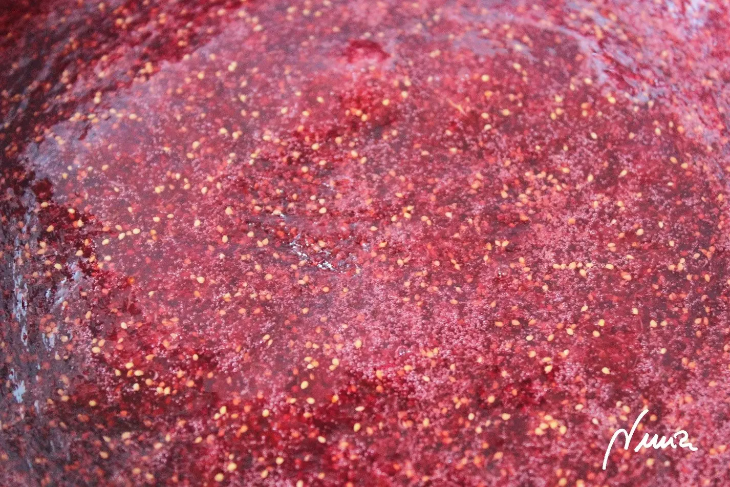 Mermelada de brevas, paso 6: Esperar a que enfríe y envasar al vacío en tarros de cristal con tapadera de rosca.