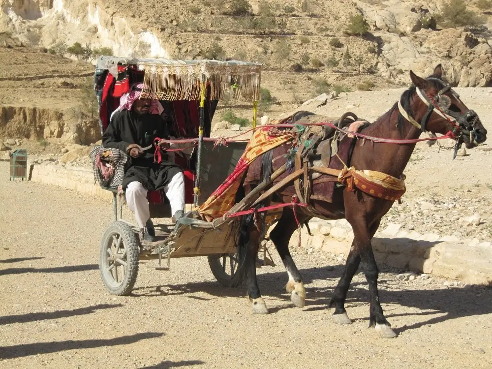 Israel y Jordania — foto 48