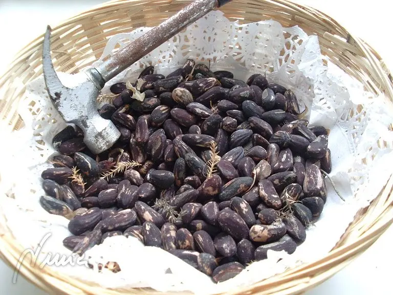Lasaña de espinacas con piñones: ingredientes