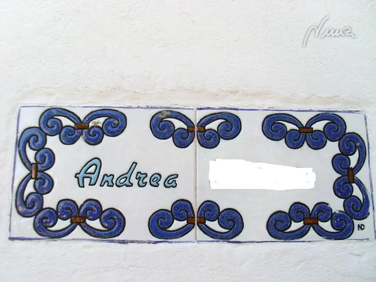 Mi pasión — foto 63