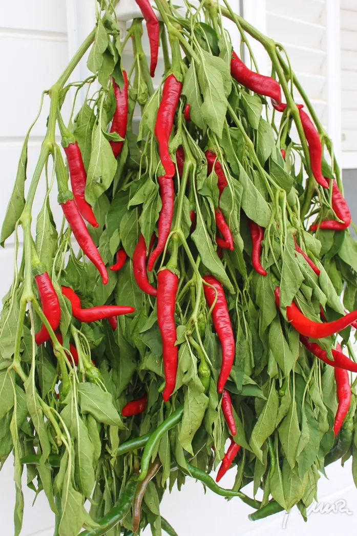 Migas del Pastor: ingredientes