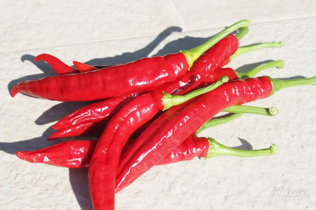 Migas del Pastor: ingredientes
