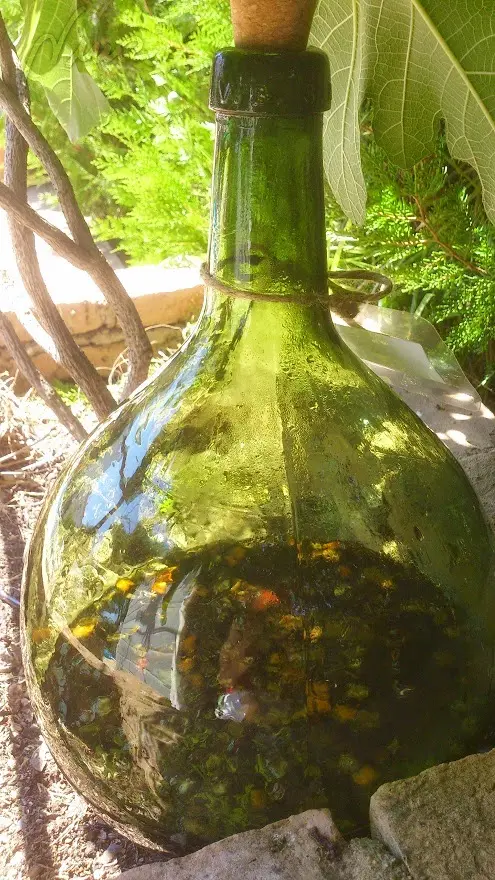 Ratafía de nueces, paso 6: 6. Dejar a la intemperie, es decir, expuesto al sol directo, a la lluvia y cualquier…